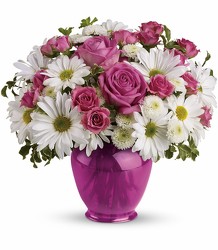 Teleflora's Pink Daisy Delight - Spray Roses & Daisies from Olney's Flowers of Rome in Rome, NY